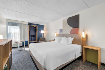 Room, 1 King Bed