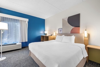 Room, 1 King Bed, Accessible, Bathtub