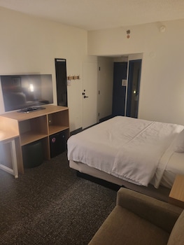 Room, 1 King Bed with Sofa bed