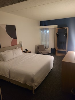 Room, 1 King Bed