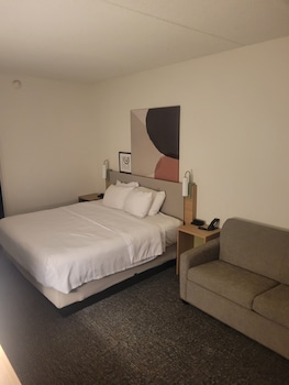 Room, 1 King Bed with Sofa bed