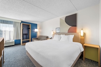 Room, 1 King Bed with Sofa bed