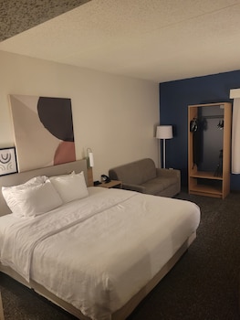 Room, 1 King Bed with Sofa bed