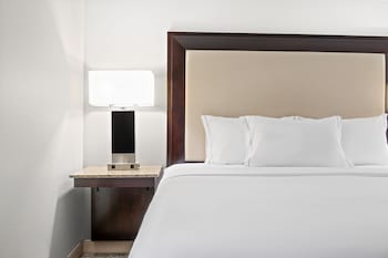 Room, 1 King Bed (Roll In Shower)
