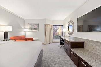 Room, 1 King Bed (Roll In Shower)