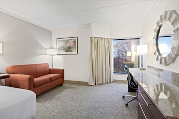 Room, 1 King Bed (Roll In Shower)