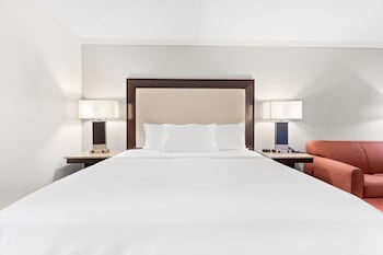 Deluxe Room, 1 King Bed with Sofa bed, Mountain View