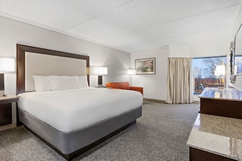 Room, 1 King Bed (Roll In Shower)