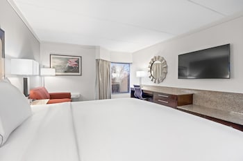 Room, 1 King Bed (Roll In Shower)