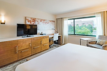 Room, 1 King Bed (Skyline View)