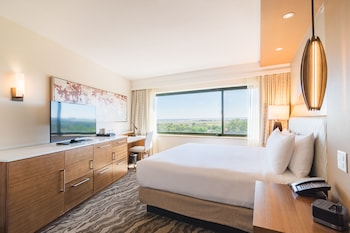 Room, 1 King Bed, Accessible, Non Smoking (Roll-in Shower)