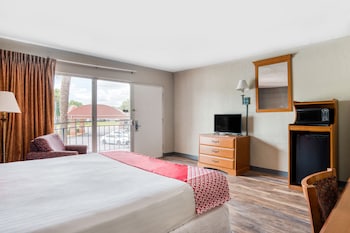 Room, 1 King Bed