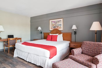 Room, 1 King Bed