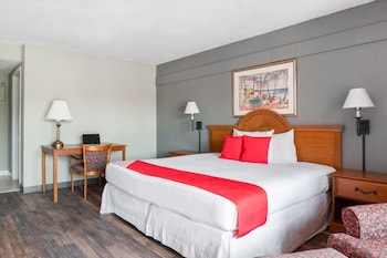 Room, 1 King Bed