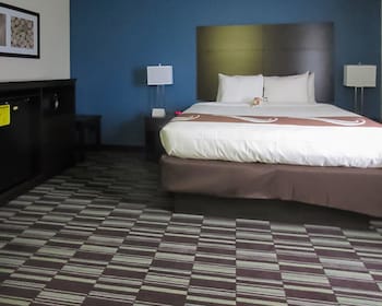 Room, 1 King Bed, Non Smoking (Pet Friendly)