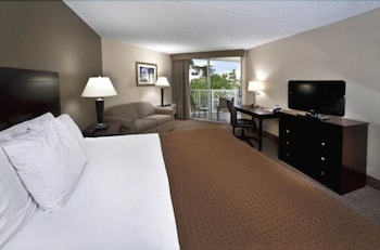 Standard Room, 1 King Bed