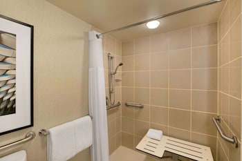 Suite, Accessible, Non Smoking (Roll-in Shower)