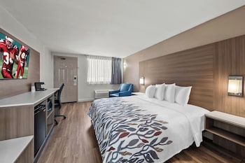 Deluxe Room, 1 King Bed, Accessible, Non Smoking