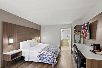 Deluxe Room, 1 King Bed, Accessible, Non Smoking