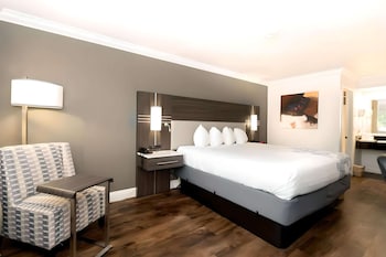 Standard Room, 1 King Bed, Non Smoking