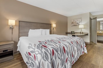 Superior Room, 1 King Bed, Non Smoking