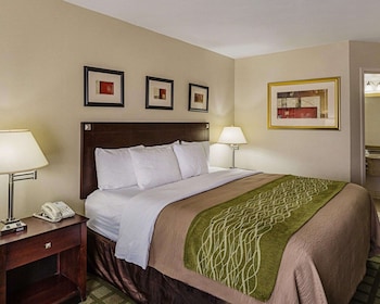 Room, 1 King Bed, Accessible, Non Smoking