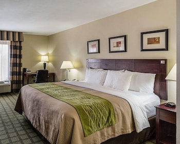 Room, 1 King Bed, Accessible, Non Smoking