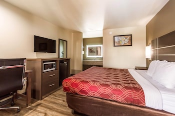 Room, 1 King Bed, Non Smoking (Bottom Floor, Standing Shower)