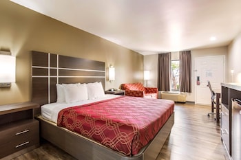Room, Non Smoking (1 King bed with 1 Pull out couch)