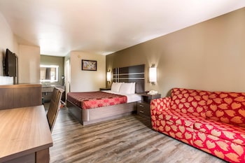 Room, Non Smoking (1 King bed with 1 Pull out couch)