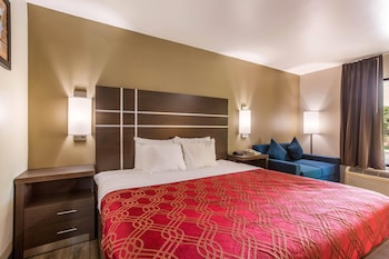 Room, 1 King Bed, Non Smoking (Jacuzzi)