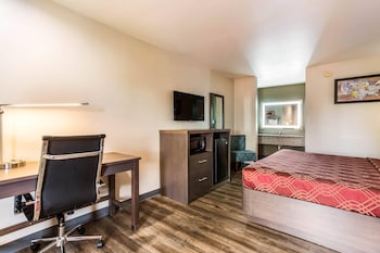 Room, Non Smoking (1 King bed with 1 Pull out couch)