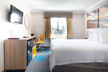 Room, 1 Queen Bed, Refrigerator