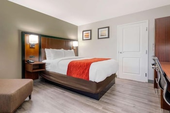 Standard Room, 1 Queen Bed, Non Smoking