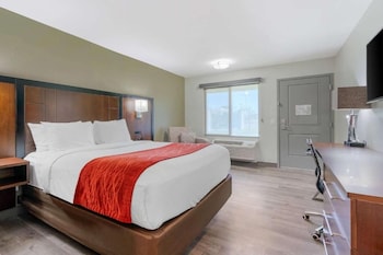 Standard Room, 1 Queen Bed, Non Smoking