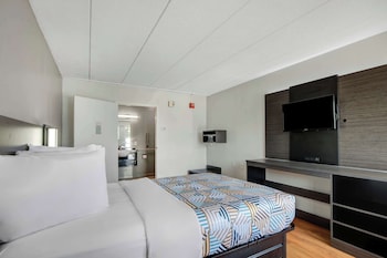 Deluxe Room, 1 Double Bed, Accessible, Non Smoking