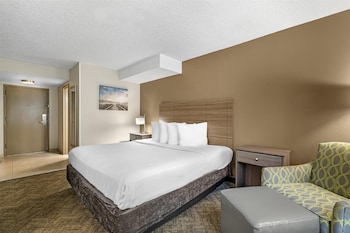 Standard Room, 1 King Bed, Non Smoking, Refrigerator