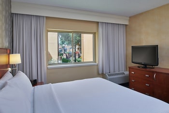 Suite, 1 Bedroom, Courtyard View (Hearing Accessible)