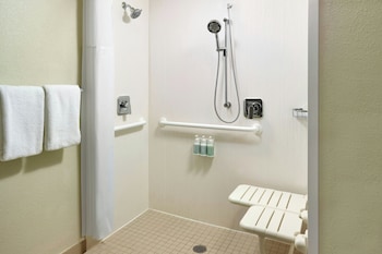 Room, 1 King Bed with Sofa bed (Mobility/Hearing Access, Roll-In Shwr)