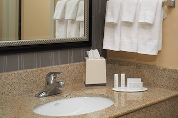 Suite, 1 Bedroom, Courtyard View (Hearing Accessible)