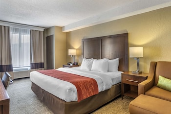 Standard Room, 1 King Bed with Sofa bed, Non Smoking (Shower Tub)
