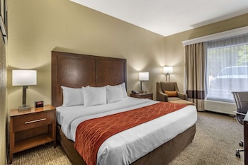 Room, 1 King Bed, Accessible, Non Smoking