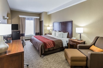Standard Room, 1 King Bed with Sofa bed, Non Smoking (Shower Tub)