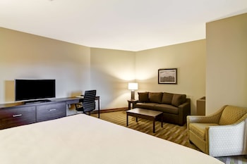 Standard Room, 1 King Bed, Non Smoking, Balcony (with Sofabed)