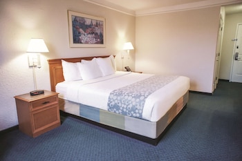 Room, 1 King Bed, Accessible, Non Smoking (Mobility Accessible)