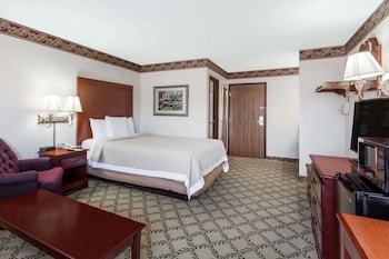 Suite, 1 Queen Bed, Refrigerator & Microwave