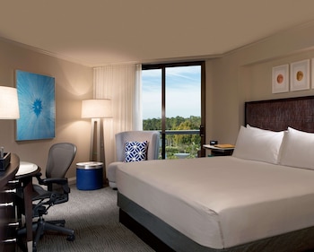Suite, 1 Bedroom