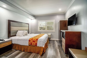 Room, 1 King Bed, Accessible, Non Smoking