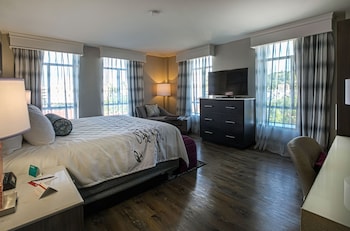 Standard Room, 1 King Bed, Accessible (Communications)