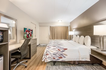 Deluxe Room, 1 King Bed (Smoke Free, First Floor)